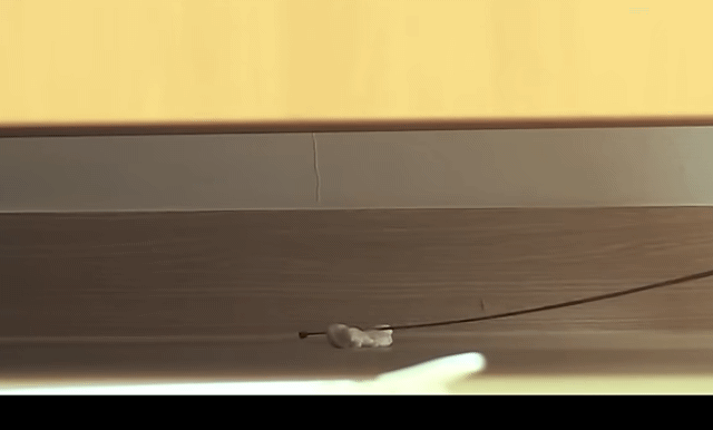 6743456c056f55063c6cf64030081f02_1727090572_0954.gif